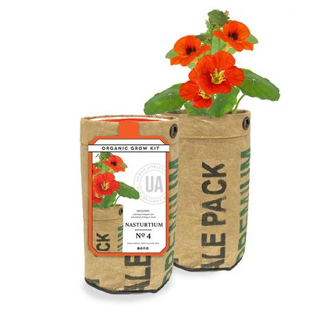 Nasturtium