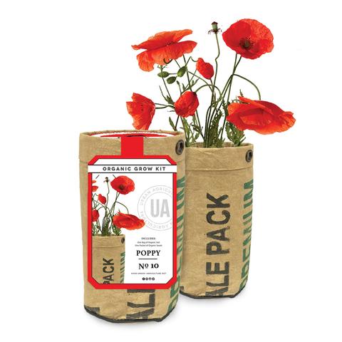 Poppy