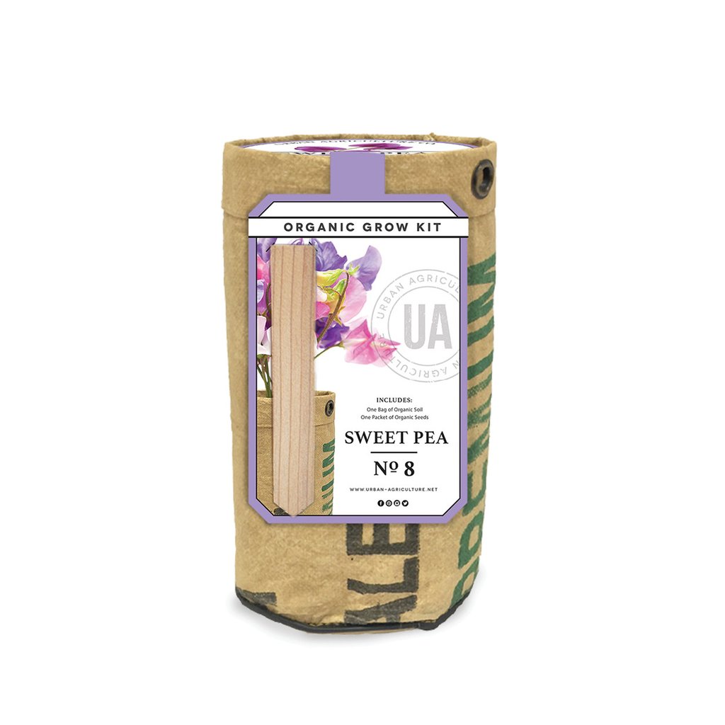 Sweet Pea