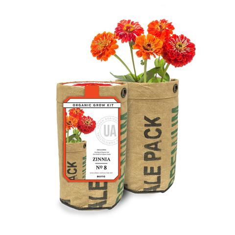 Zinnia