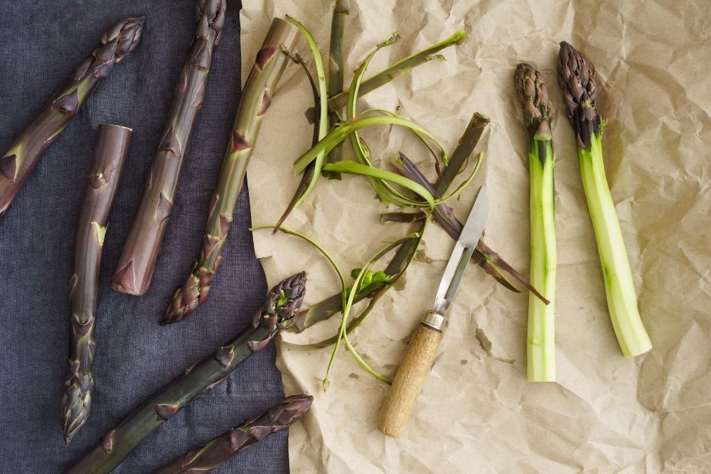 Six types of Asparagus Plants